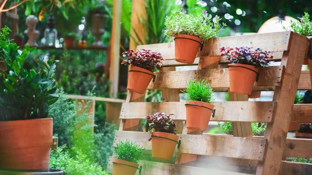Gardening