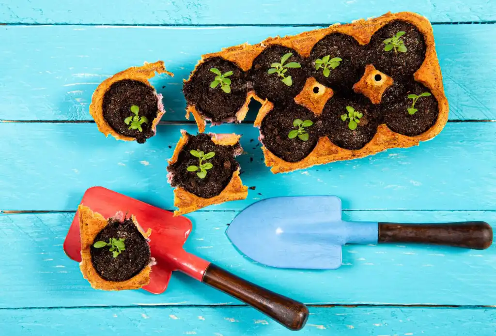 Gardening