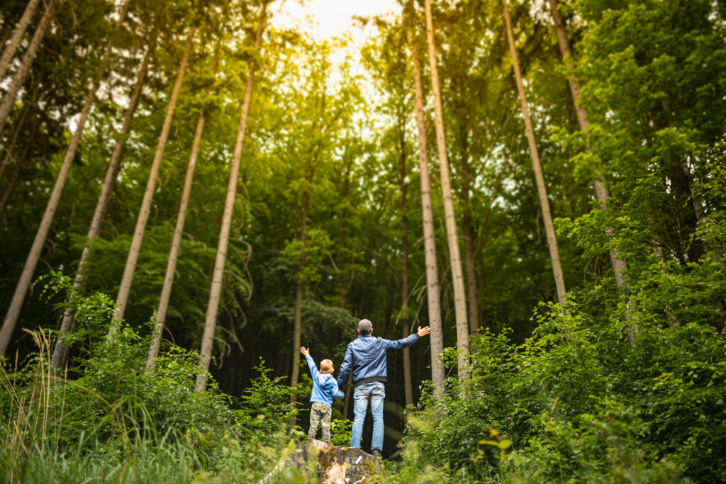 Forest Bathing